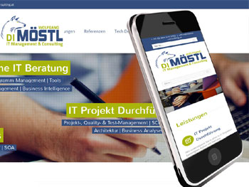 Webdesign für Consulter