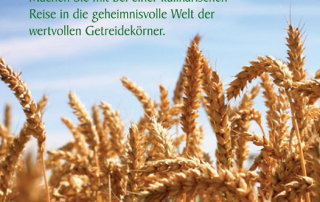 Broschüre Erstellung
