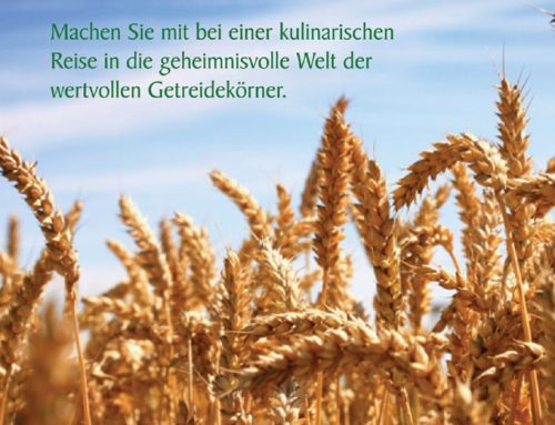 Broschüre für Kochworkshop