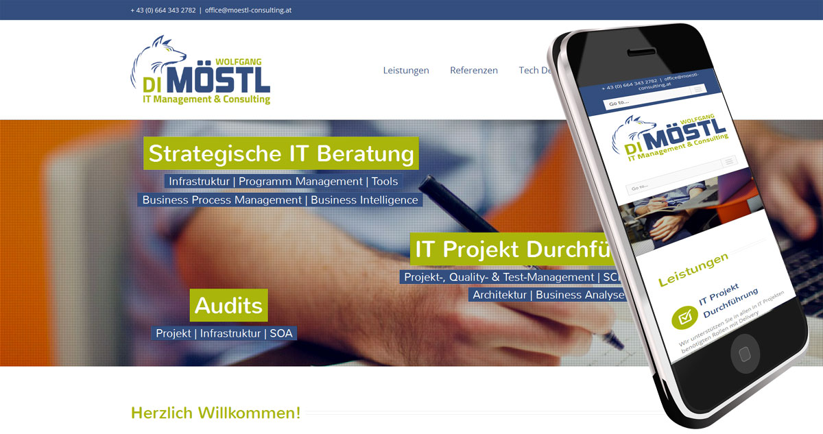 Webdesign für Consulter und IT-Manager